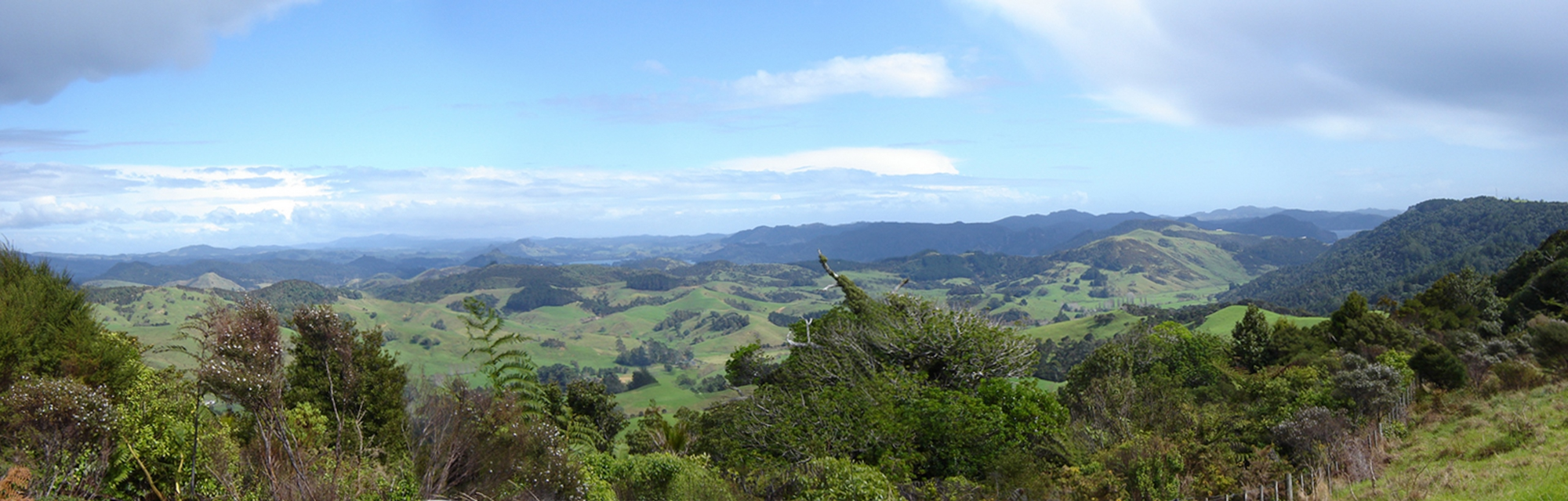 A remote landscape with pastures, woods and mountains in the background